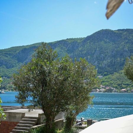 Apartment Katja Kotor Exterior foto